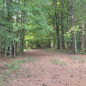 Photo #31 of Flat Rock Church, Louisburg, NC 33.6 acres