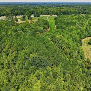 Photo #15 of Flat Rock Church, Louisburg, NC 33.6 acres