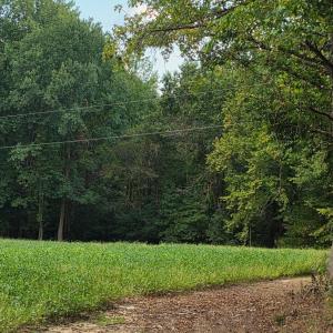 Photo #33 of Flat Rock Church, Louisburg, NC 33.6 acres