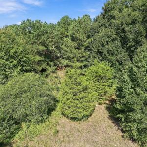 Photo #17 of 3230 Southall, Raleigh, NC 1.0 acres