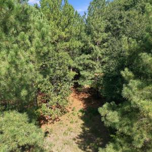 Photo #18 of 3230 Southall, Raleigh, NC 1.0 acres