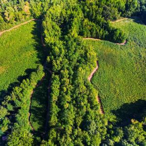 Photo #2 of 460 Brantleytown, Zebulon, NC 35.9 acres