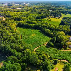 Photo #10 of 460 Brantleytown, Zebulon, NC 35.9 acres