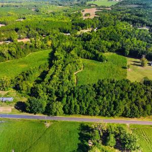 Photo #4 of 460 Brantleytown, Zebulon, NC 35.9 acres