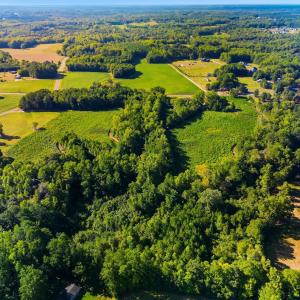 Photo #5 of 460 Brantleytown, Zebulon, NC 35.9 acres