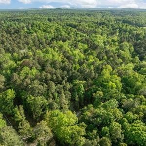 Photo #5 of 2a Union Grove Church, Chapel Hill, NC 5.0 acres