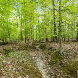 Photo #6 of 2a Union Grove Church, Chapel Hill, NC 5.0 acres