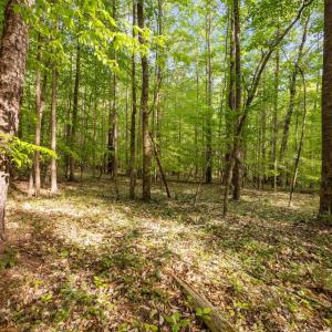 Photo #4 of 2a Union Grove Church, Chapel Hill, NC 5.0 acres