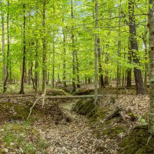 Photo #1 of 2a Union Grove Church, Chapel Hill, NC 5.0 acres
