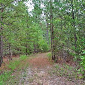 Photo #12 of 4656 Woodsdale, Roxboro, NC 103.0 acres