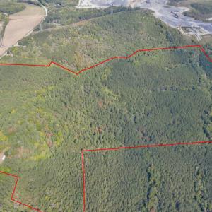Photo #3 of 4656 Woodsdale, Roxboro, NC 103.0 acres
