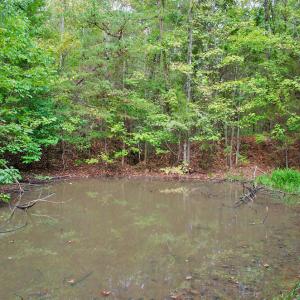 Photo #18 of 4656 Woodsdale, Roxboro, NC 103.0 acres