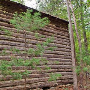 Photo #8 of 4656 Woodsdale, Roxboro, NC 103.0 acres