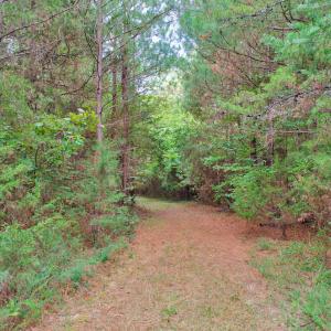 Photo #7 of 4656 Woodsdale, Roxboro, NC 103.0 acres