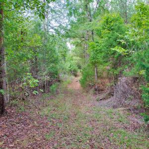 Photo #14 of 4656 Woodsdale, Roxboro, NC 103.0 acres