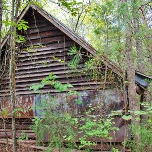Photo #11 of 4656 Woodsdale, Roxboro, NC 103.0 acres