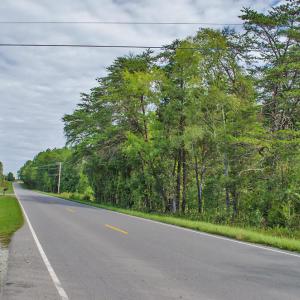 Photo #21 of 4656 Woodsdale, Roxboro, NC 103.0 acres