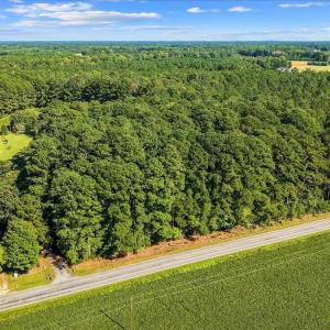 Photo #5 of Jerry, Selma, NC 3.9 acres