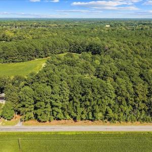 Photo #2 of Jerry, Selma, NC 3.9 acres