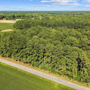Photo #8 of Jerry, Selma, NC 3.9 acres