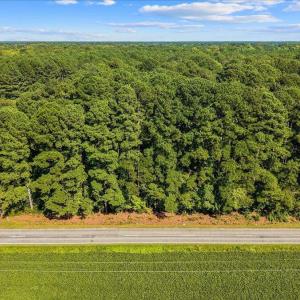 Photo #3 of Jerry, Selma, NC 3.9 acres