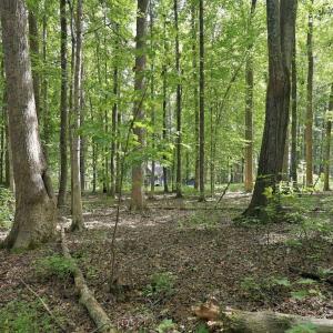 Photo #21 of 605 Canotage, Cedar Grove, NC 1.0 acres