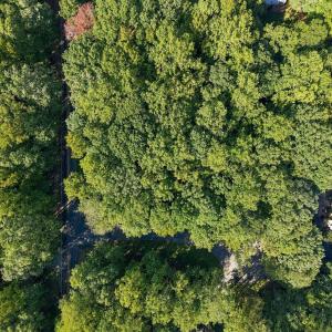 Photo #28 of 605 Canotage, Cedar Grove, NC 1.0 acres