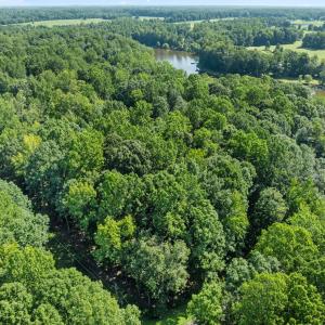 Photo #9 of 605 Canotage, Cedar Grove, NC 1.0 acres