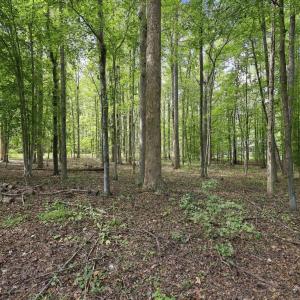 Photo #19 of 605 Canotage, Cedar Grove, NC 1.0 acres
