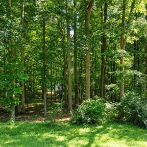 Photo #2 of 605 Canotage, Cedar Grove, NC 1.0 acres