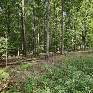 Photo #24 of 605 Canotage, Cedar Grove, NC 1.0 acres