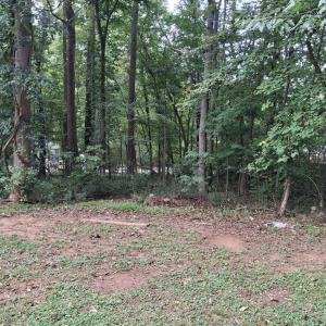 Photo #2 of Elm, Roxboro, NC 0.3 acres