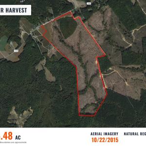 Photo #6 of Buckhorn, Sanford, NC 206.5 acres