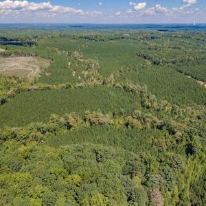 Photo #41 of Buckhorn, Sanford, NC 206.5 acres