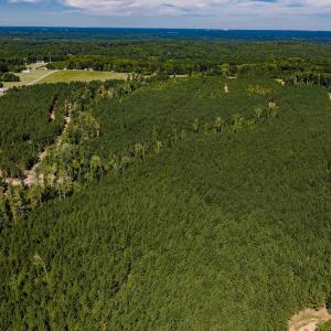 Photo #16 of Buckhorn, Sanford, NC 206.5 acres