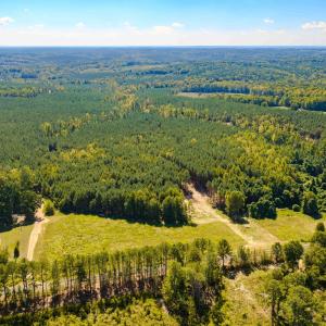 Photo #1 of Buckhorn, Sanford, NC 206.5 acres