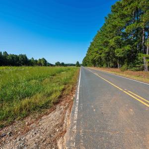 Photo #9 of Buckhorn, Sanford, NC 206.5 acres