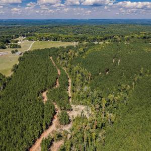 Photo #43 of Buckhorn, Sanford, NC 206.5 acres