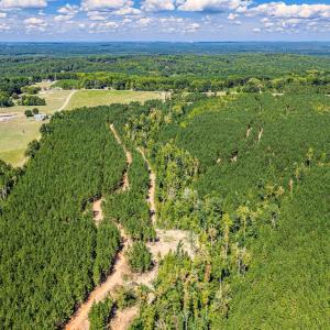 Photo #28 of Buckhorn, Sanford, NC 206.5 acres