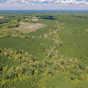 Photo #42 of Buckhorn, Sanford, NC 206.5 acres