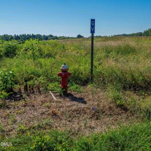 Photo #12 of Buckhorn, Sanford, NC 206.5 acres