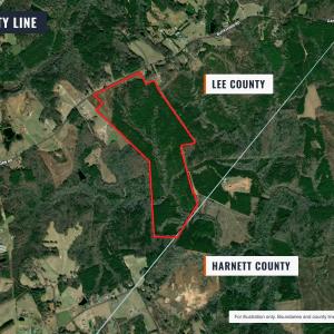 Photo #5 of Buckhorn, Sanford, NC 206.5 acres
