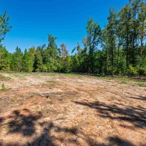 Photo #19 of Buckhorn, Sanford, NC 206.5 acres