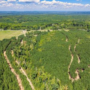 Photo #36 of Buckhorn, Sanford, NC 206.5 acres