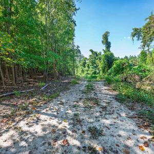 Photo #29 of Buckhorn, Sanford, NC 206.5 acres