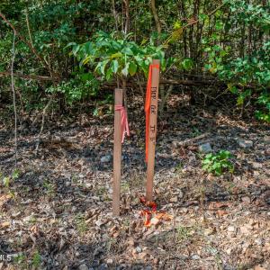 Photo #13 of Buckhorn, Sanford, NC 206.5 acres