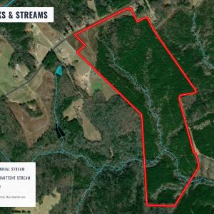 Photo #8 of Buckhorn, Sanford, NC 206.5 acres
