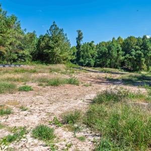 Photo #18 of Buckhorn, Sanford, NC 206.5 acres