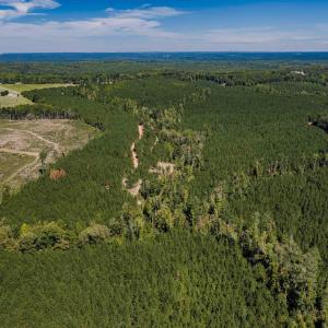 Photo #35 of Buckhorn, Sanford, NC 206.5 acres