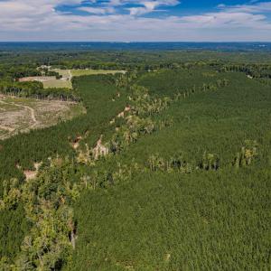 Photo #14 of Buckhorn, Sanford, NC 206.5 acres
